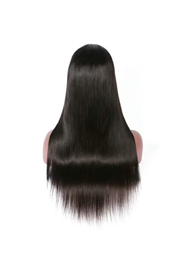 Long Straight Lace Front Wig